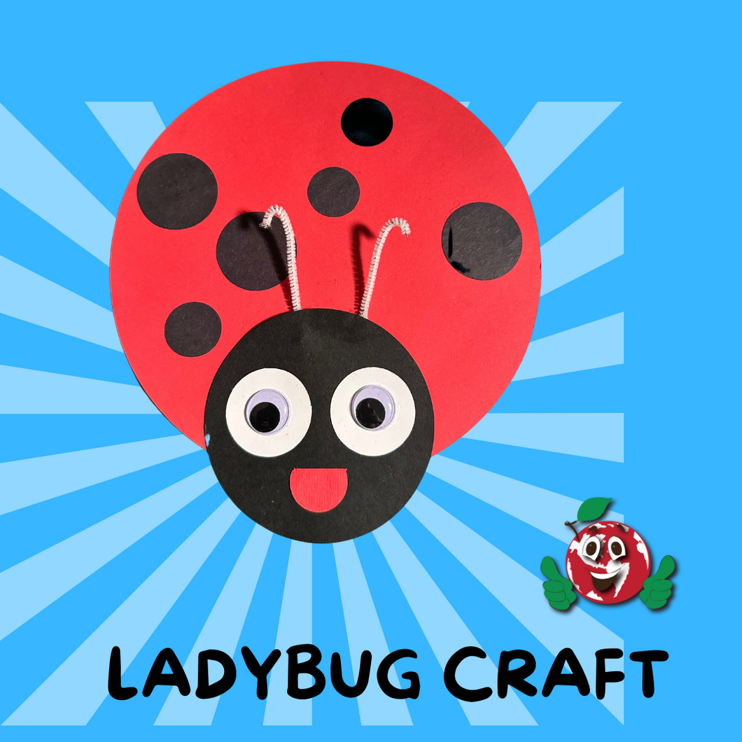 Ladybug Craft